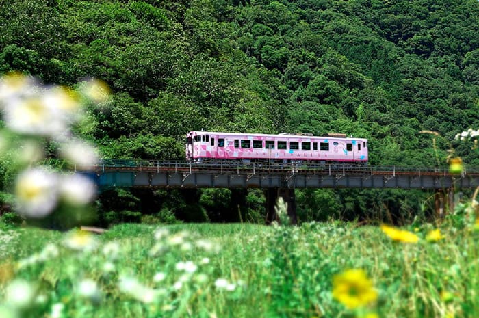 Sakubi Sakura cuts a dashing pink figure in the Okayama countryside