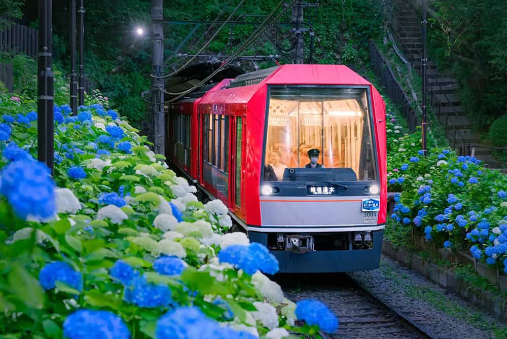 The Allegra running the Night Hydrangea Train service