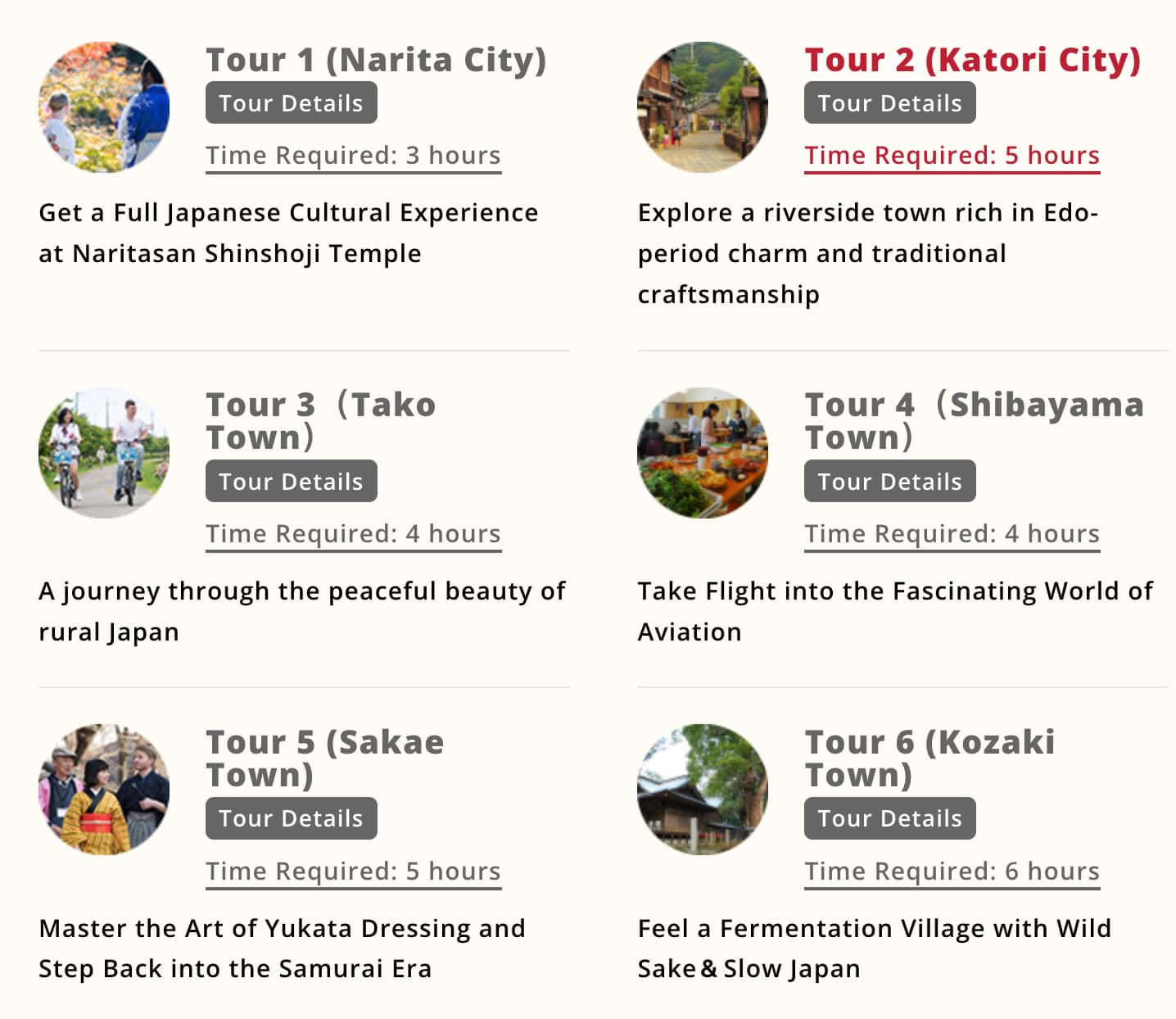 Narita Airport Transit tours
