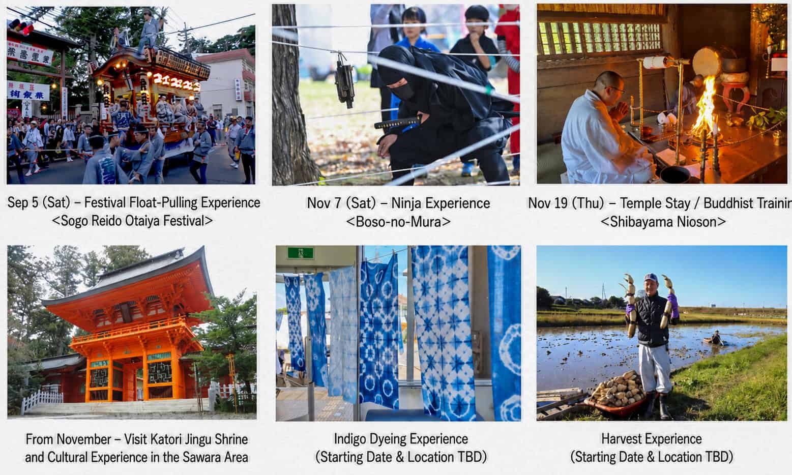 New Paid Tours Offer Local Experiences