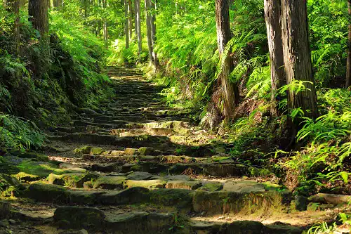The Daimonzaka stone staircase on the Kumano Kodo pilgrimage route, Wakayama